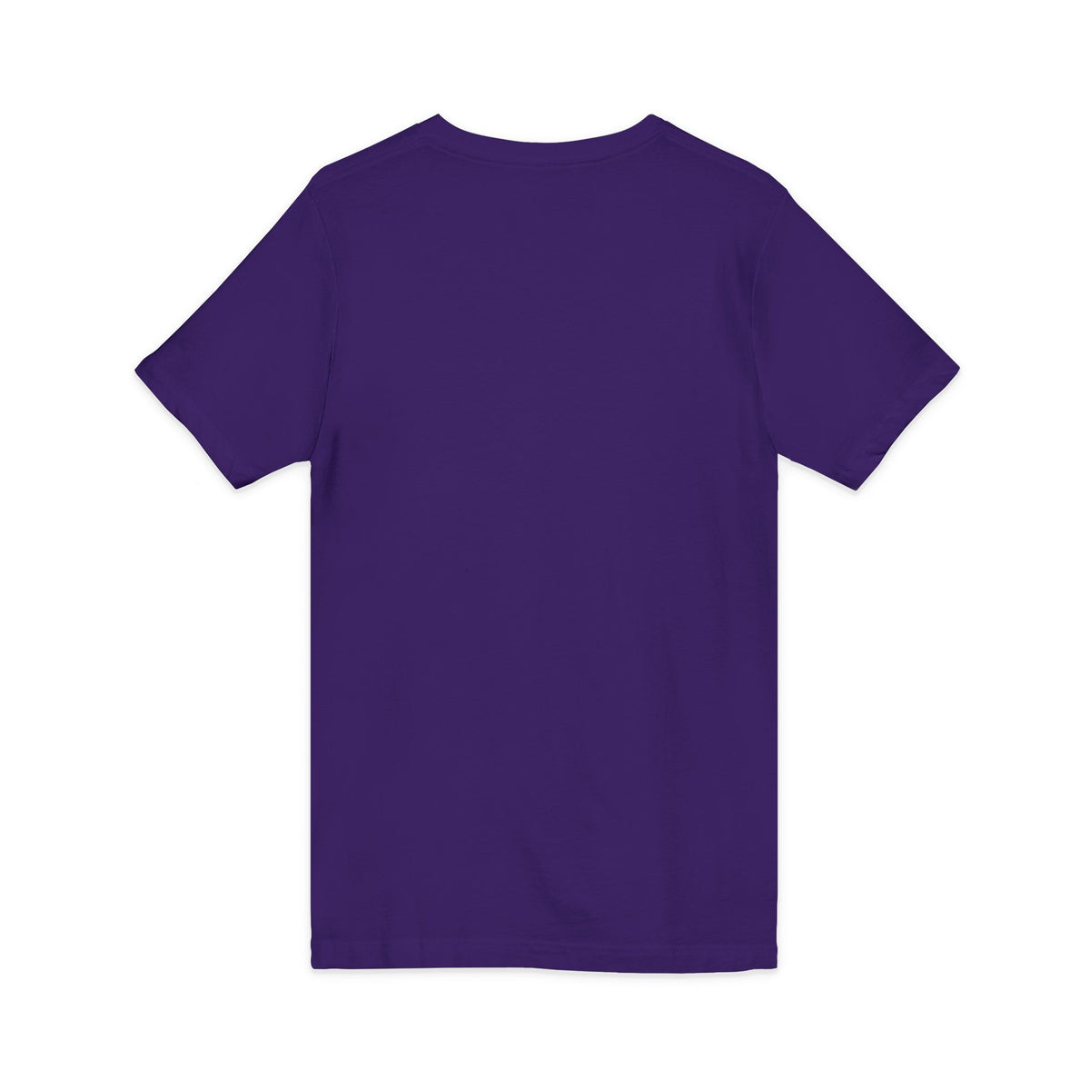 Mushroom Family Fall Farmers Market Jersey Short Sleeve V-Neck Tee